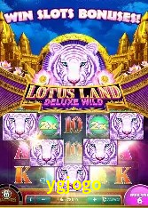 Casino Ao Vivo ygjogo